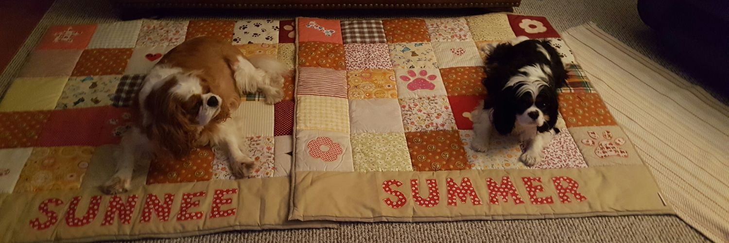 🌤Skye & 🌟Stella 🌈Summer, Sunnee & Stormi banner