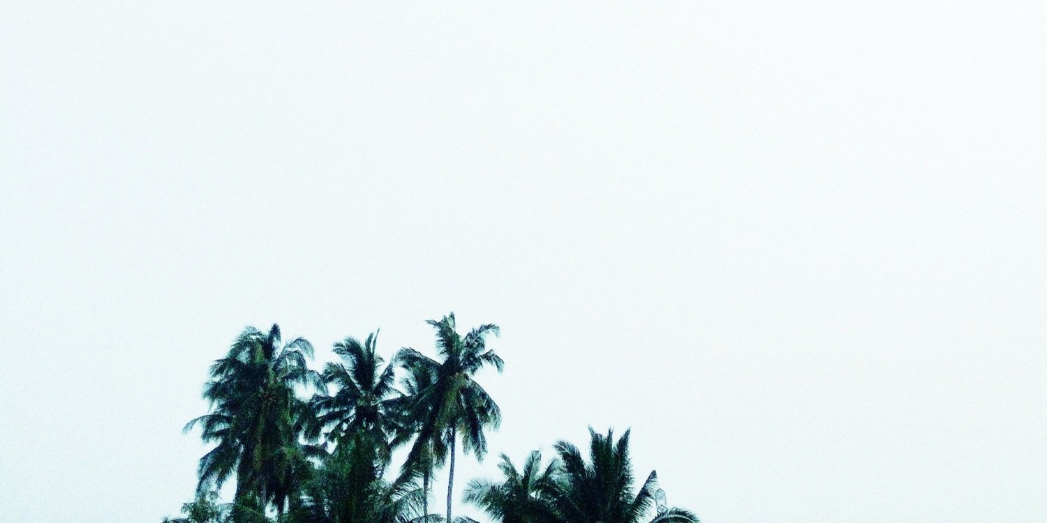 drackyvamp's profile banner image