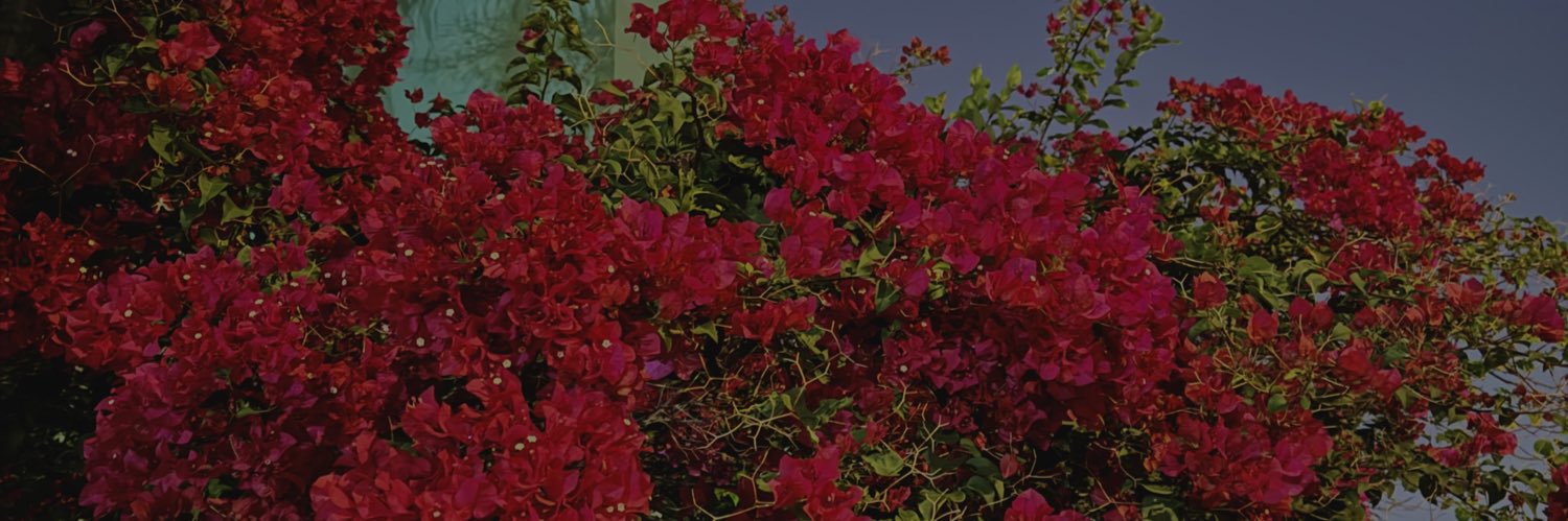 Fernvndoav's profile banner image