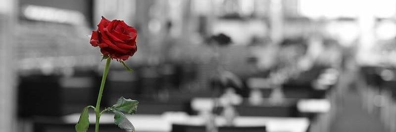 biamattos1994's profile banner image