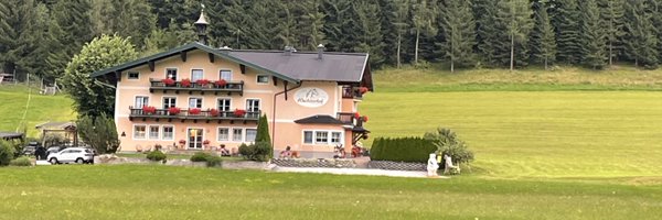 deepakhp Profile Banner