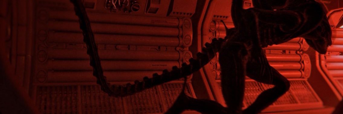 callie🧛🏻‍♀️ banner