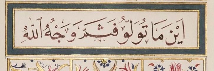 بتول الزهراني banner