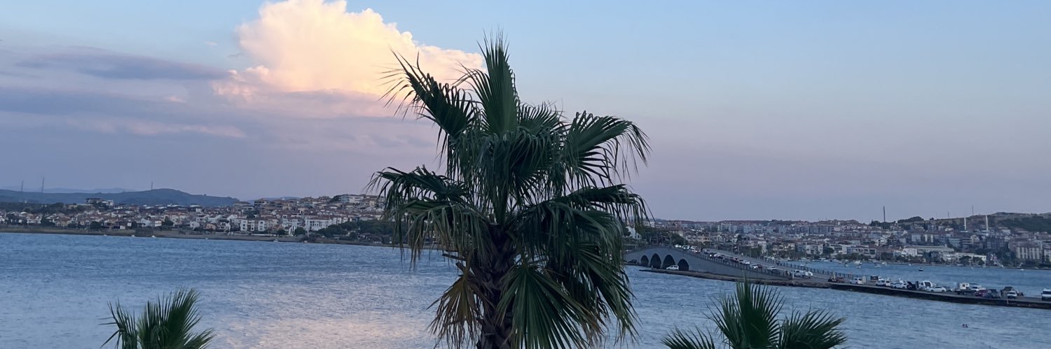 ipekozgrn's profile banner image