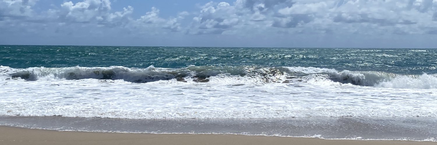 let banner