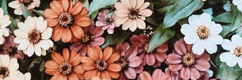 LLibb's profile banner image