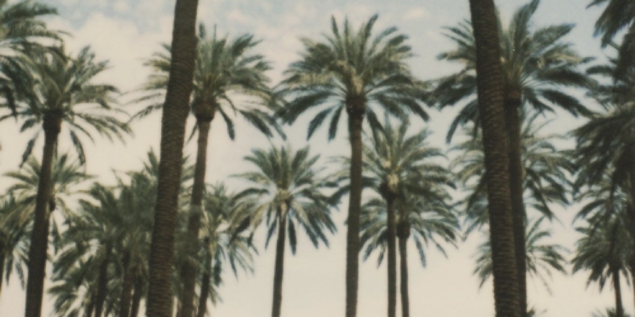 Real_Macy_'s profile banner image