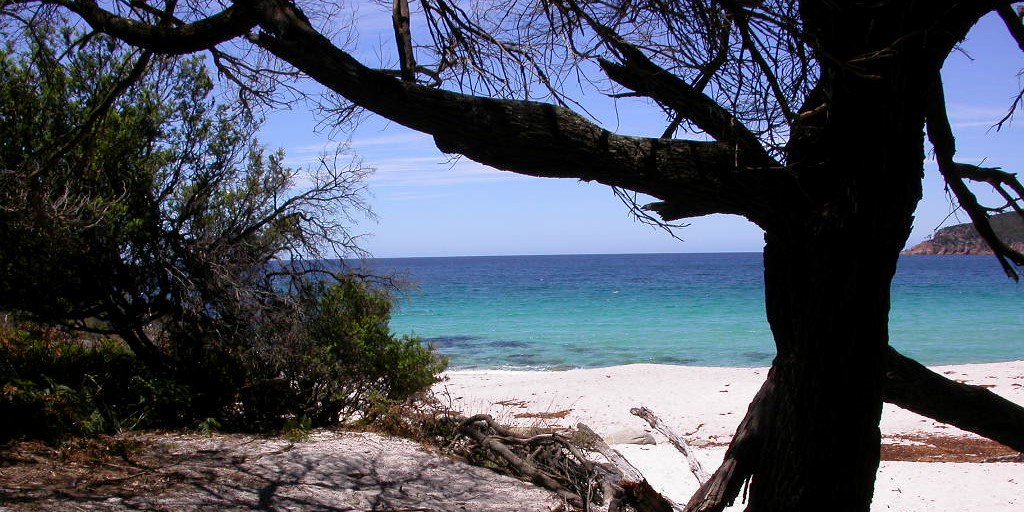 Les Ditchburn banner