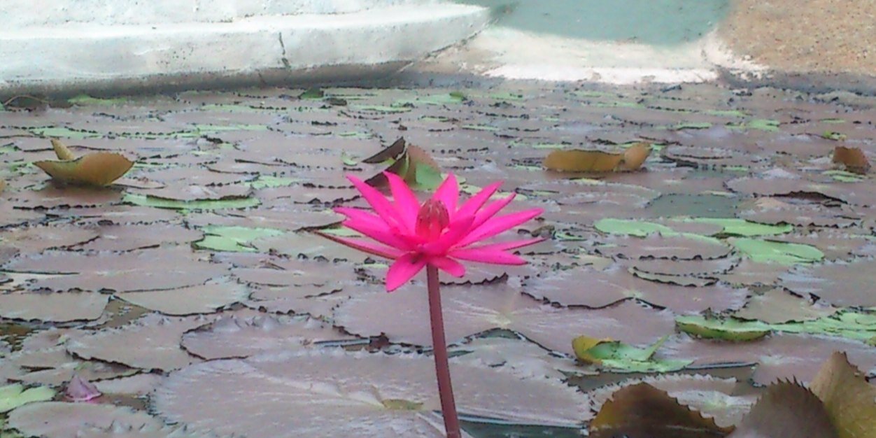 deepakkumarsr's profile banner image