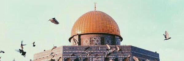 MohamedElfar74's profile banner image