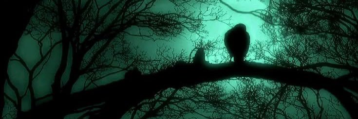 𝑴𝒂𝒕𝒕𝒉𝒆𝒐 𝑹𝒊𝒅𝒅𝒍𝒆 banner