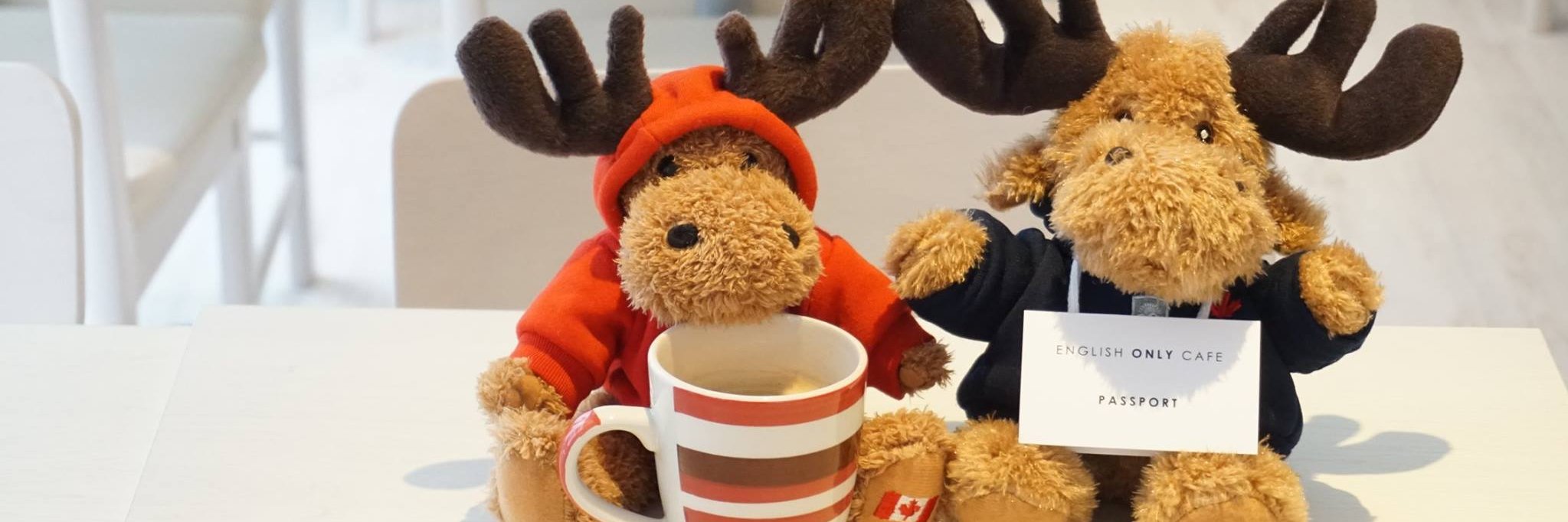 englishonlycafe's profile banner image