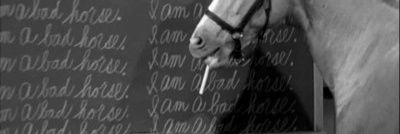 horsemoondust's profile banner image