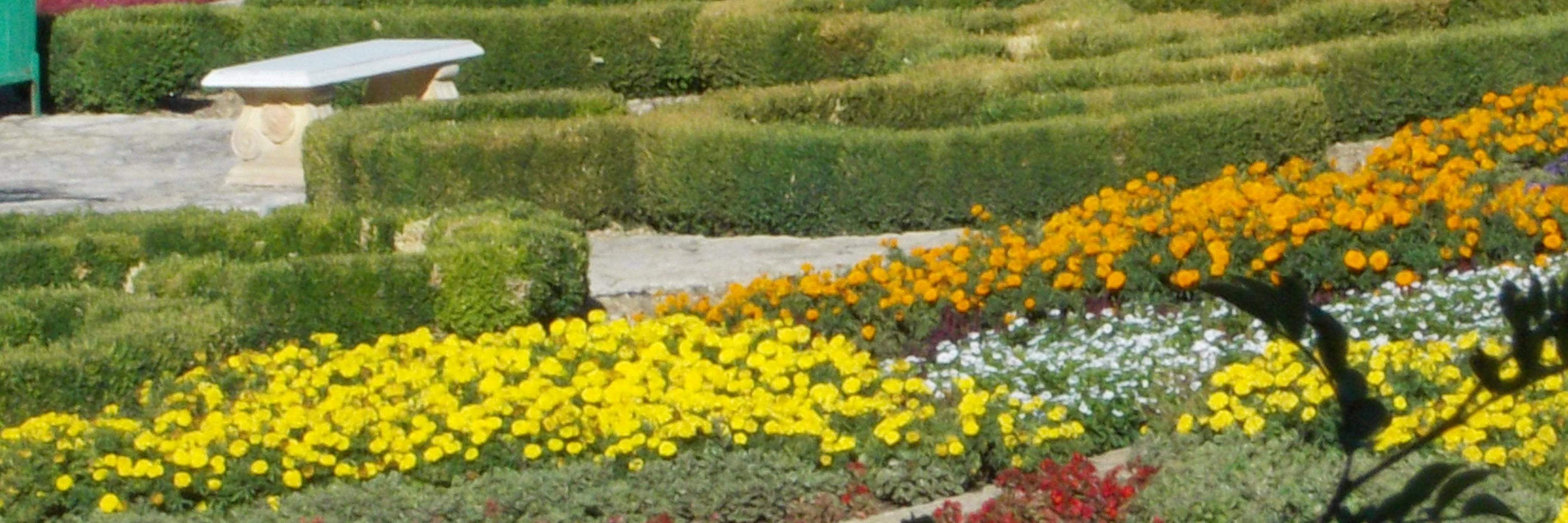 Steffiangelis's profile banner image