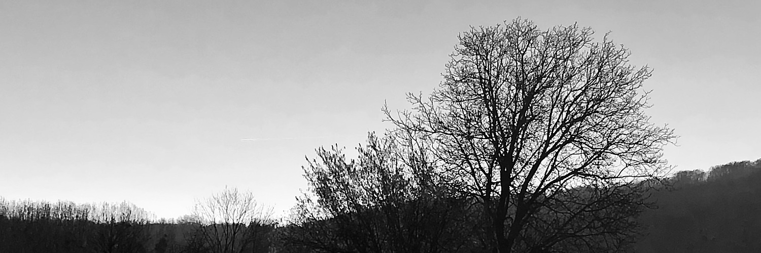 shrlcnp's profile banner image
