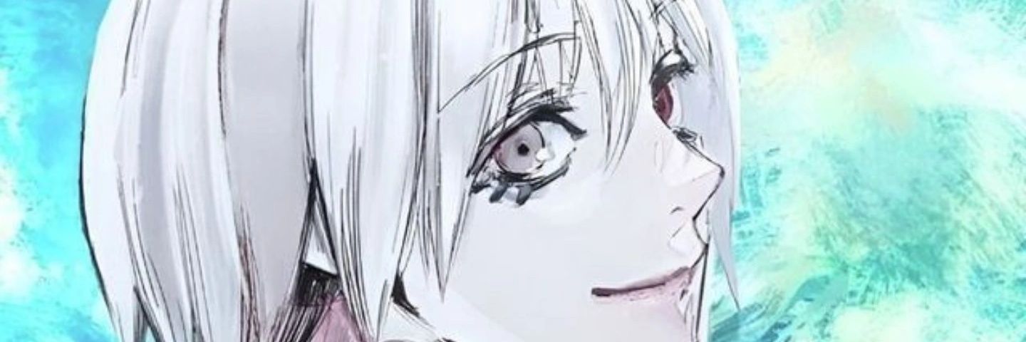 AkenoVLR's profile banner image