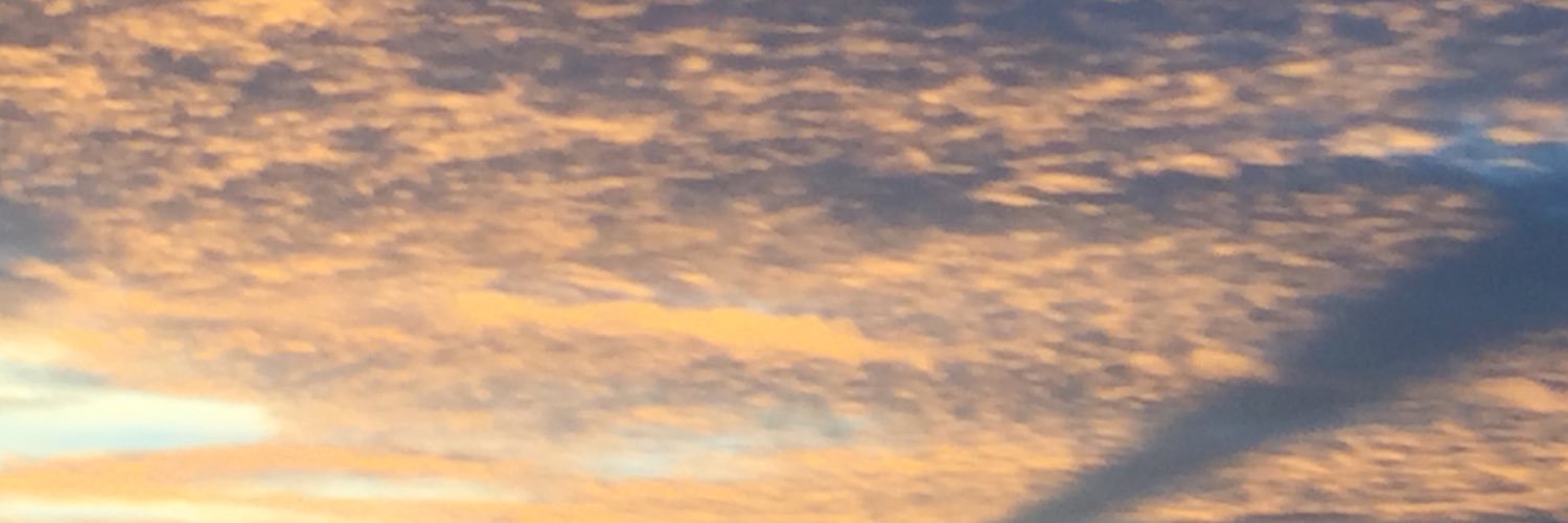 Cisneros_Ingrid's profile banner image