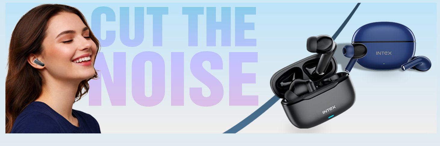 Intex Technologies India Ltd banner