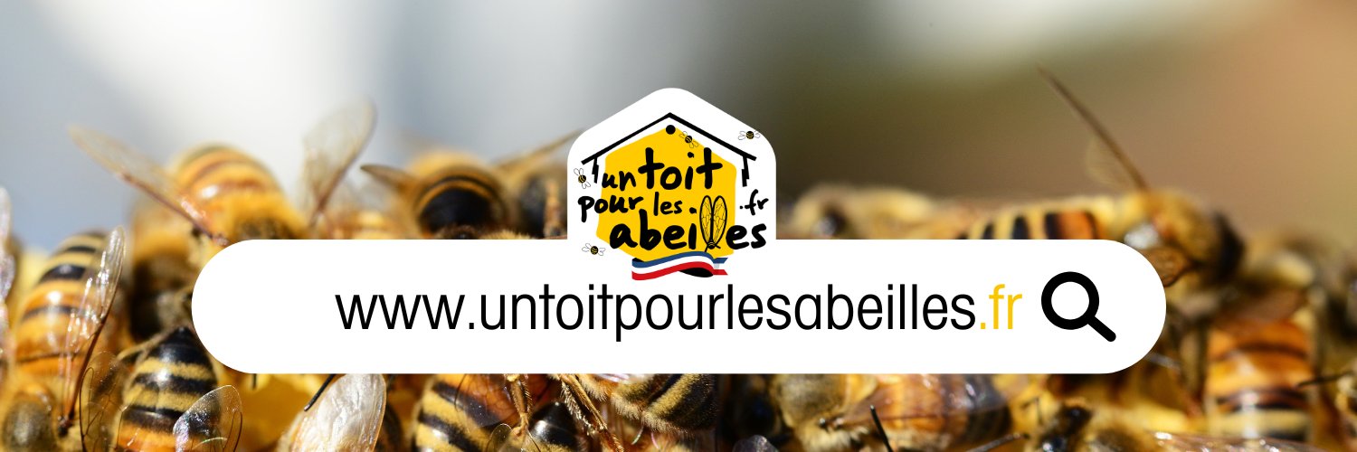 1ToitPourLesAbeilles banner