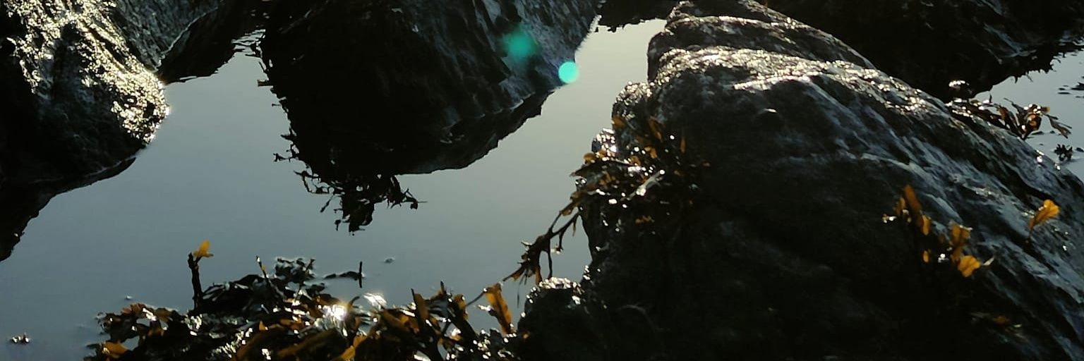 ItsBeathriz's profile banner image