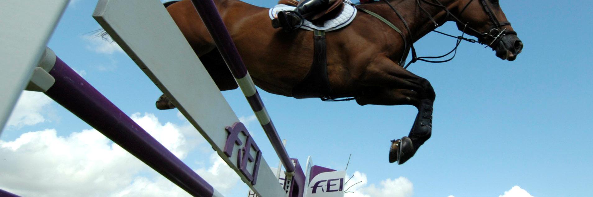 FEIequestrian's profile banner image