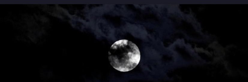 جودي المطيري banner