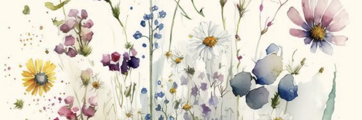 Emilly Nolan 🇿🇼 banner