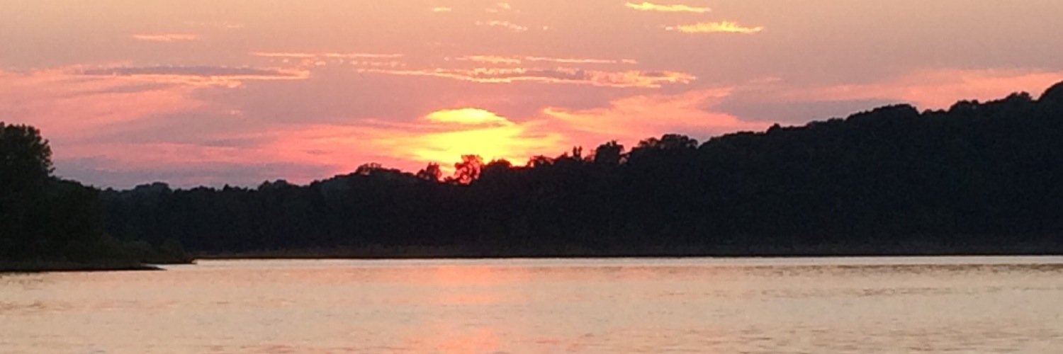 mycabinfever's profile banner image