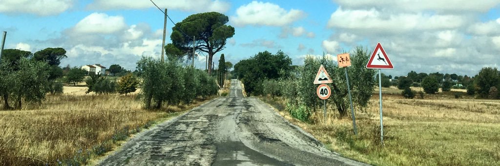 Appalto's profile banner image