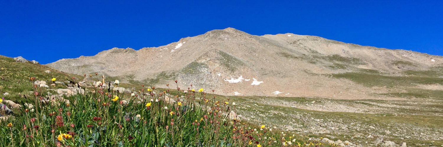 Colorado_Joni's profile banner image