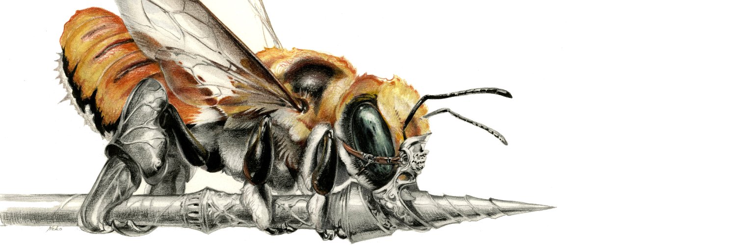 猫将軍 Nekoshowgun banner