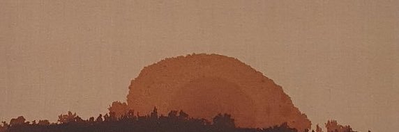 dashiwalk's profile banner image