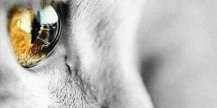 ManuelMorgado69's profile banner image