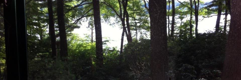 jopo2955's profile banner image