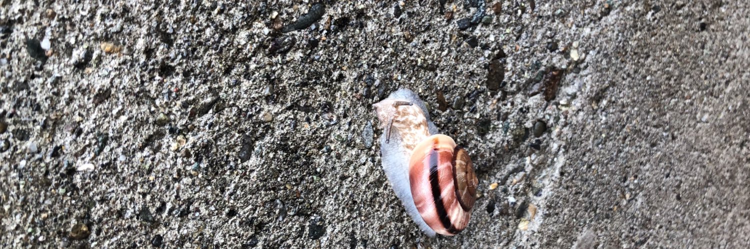 由姫です。 banner