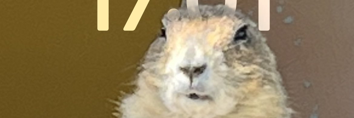 ProjectofSeiryu's profile banner image
