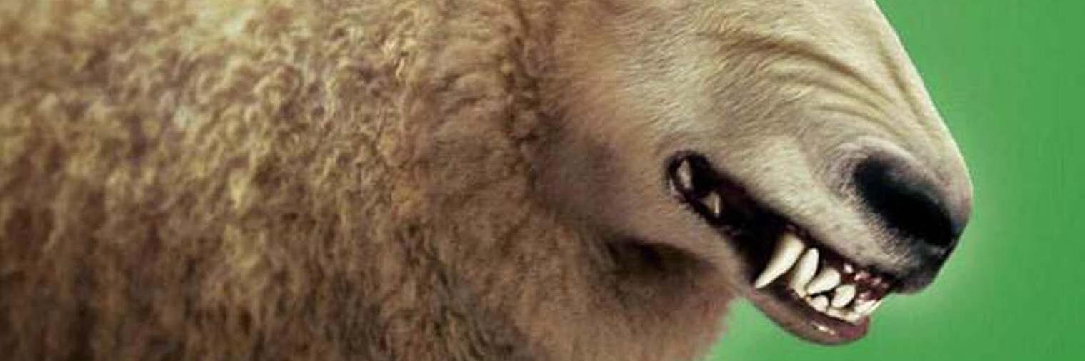 🐑🐑🐑🐑 banner