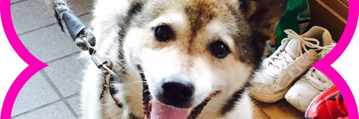 kentokinako's profile banner image