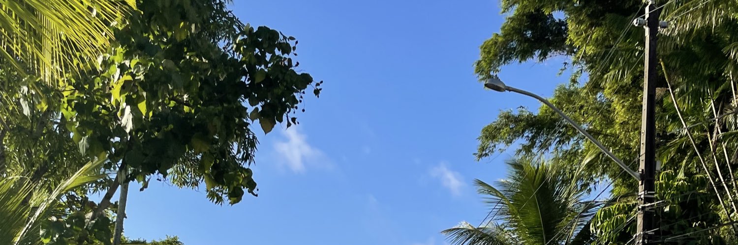 Jojo Costa banner