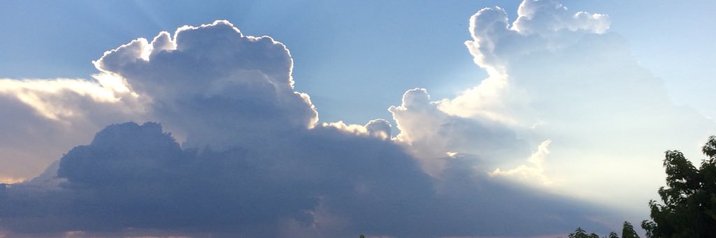 silverarroyoj's profile banner image