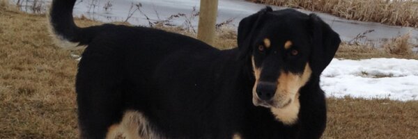 Miskiman14 Profile Banner