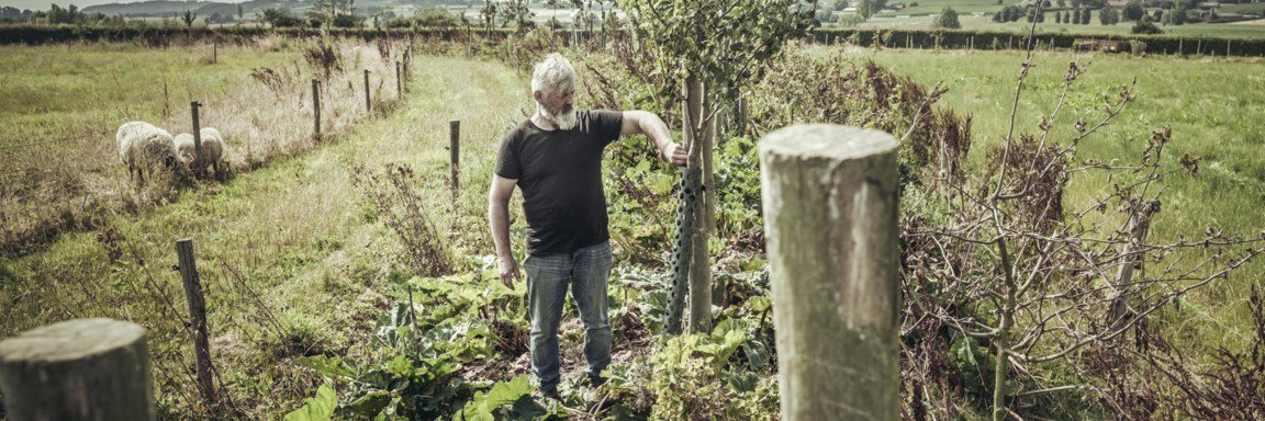 Gerard Teuling banner