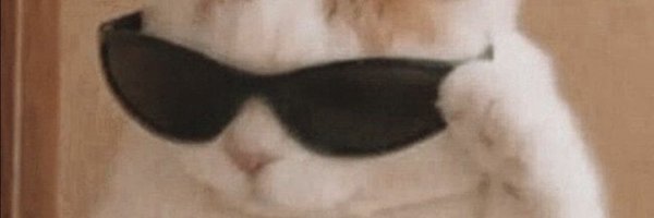 ploypun3 Profile Banner