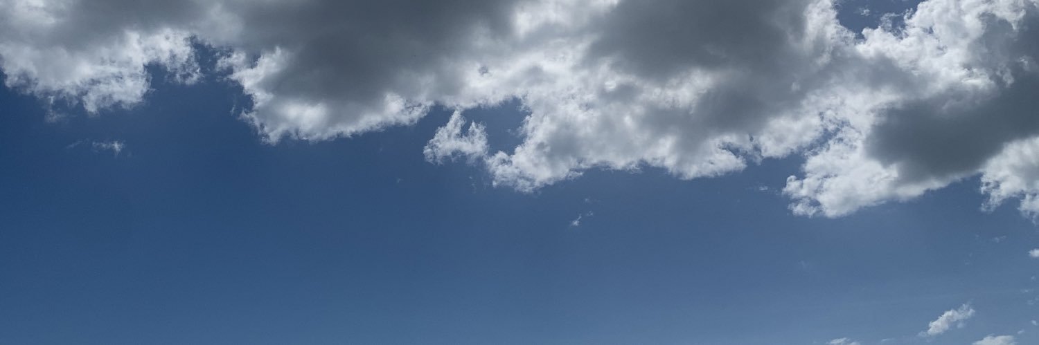 jeylitza's profile banner image