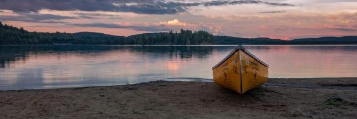 SusanAndrews121's profile banner image