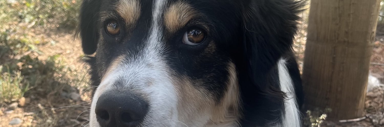 HeyJude banner