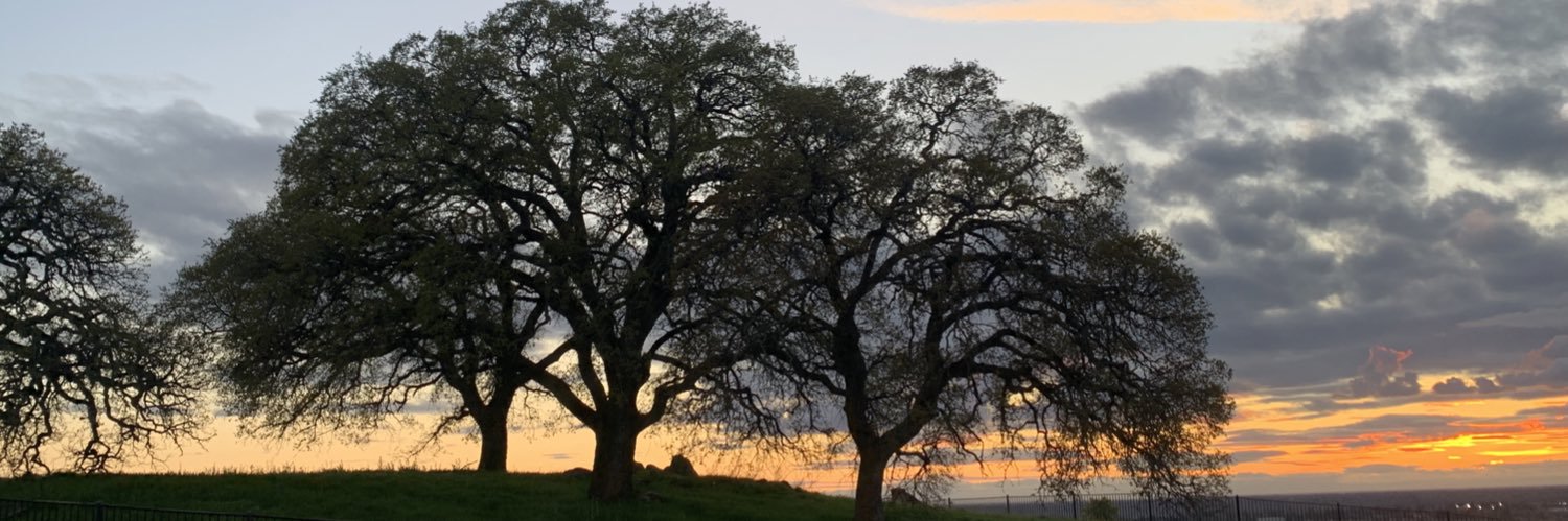 OriaBeau's profile banner image
