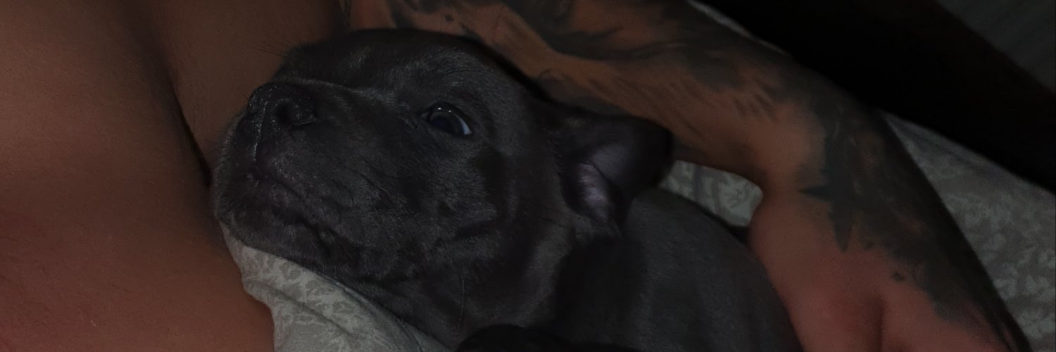 joelle641's profile banner image