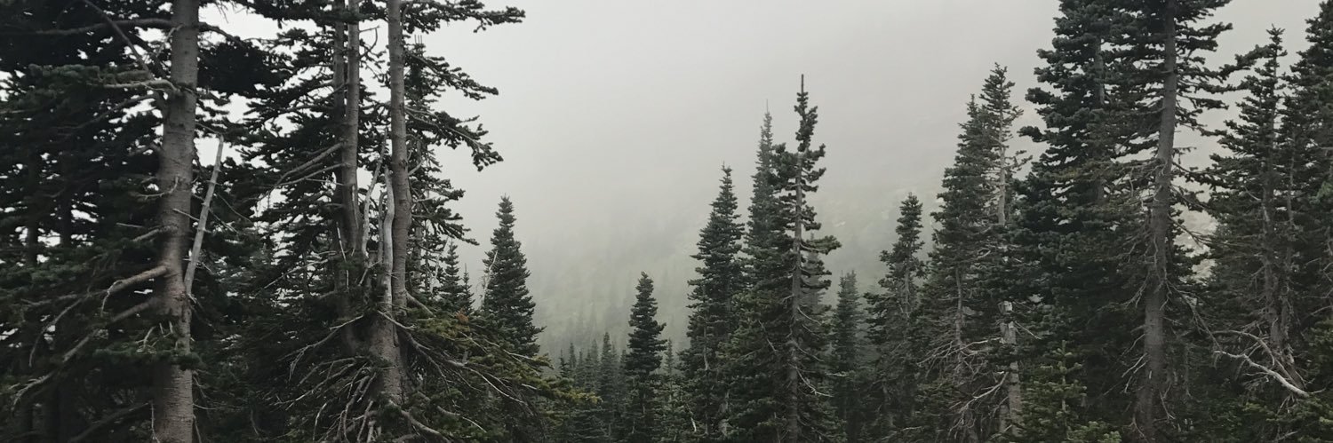 jaimeraeadams's profile banner image