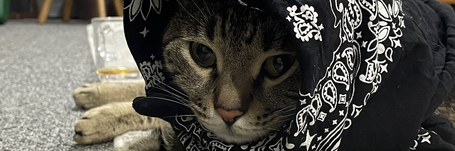 emptyshitn's profile banner image